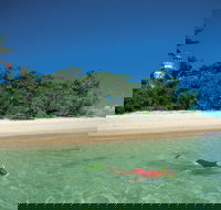 Low Isles - Cruises Travel