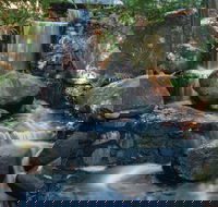 Mackay Regional Botanic Gardens - Tourism Guide