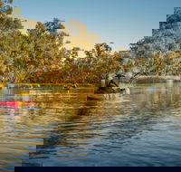 Macquarie Marshes Nature Reserve - Cruises Travel