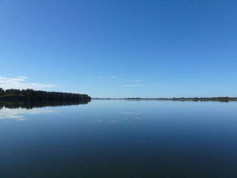 Manning River - Tourism Guide 0