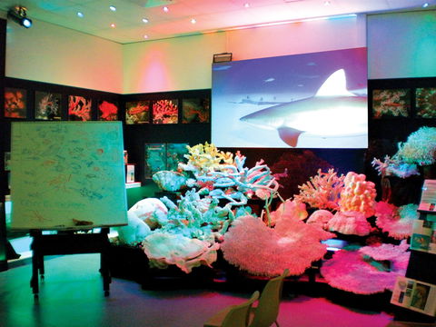 Marine Discovery Centre Hastings Point - Tourism Guide 0