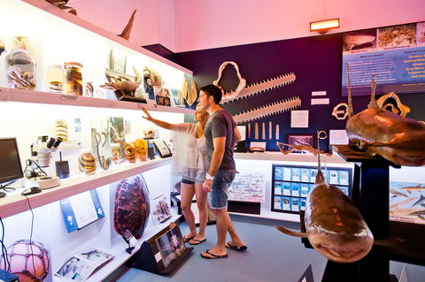 Marine Discovery Centre Hastings Point - Tourism Guide 1