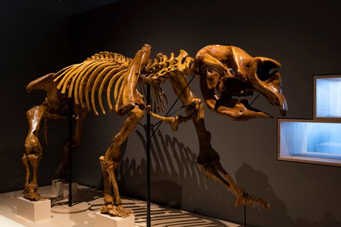 Megafauna Central - Tourism Guide 1
