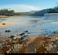 Merrica River Nature Trail - Travel Agents