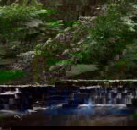 Millards Creek Walk and Cycleway - Tourism Guide
