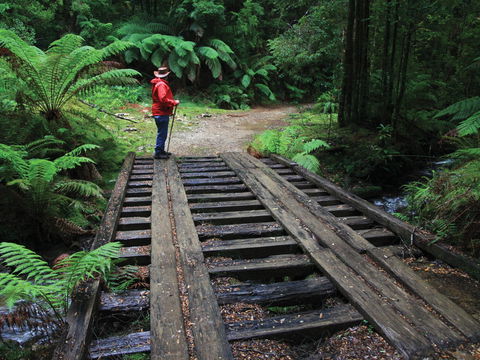 Montezuma Falls - Tourism Guide 0