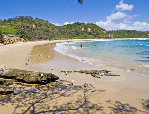 Nambucca Heads Beaches - Tourism Guide 0