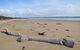 Narawntapu National Park - thumb 2