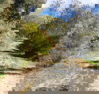 Naracoorte North Nature Park - Tourism Guide