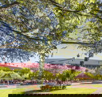 Norwood Oval - Tourism Guide