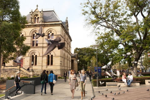 North Terrace - Tourism Guide 1