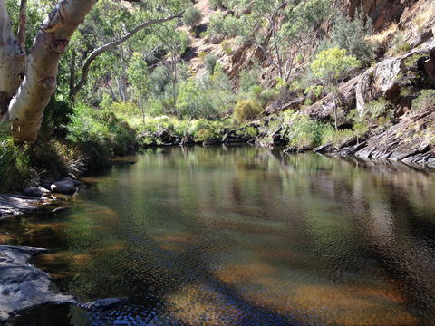 Onkaparinga River National Park - Tourism Guide 2