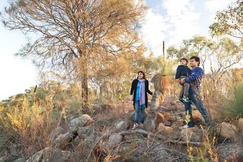 Para Wirra Conservation Park - Tourism Guide 0