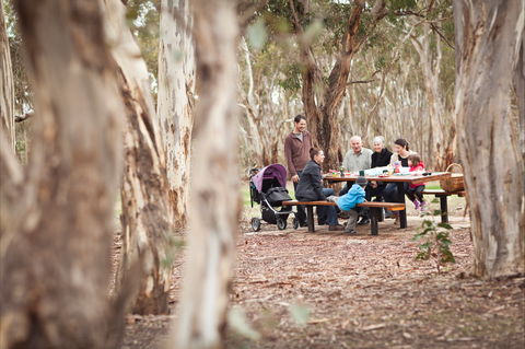 Para Wirra Conservation Park - Tourism Guide 1
