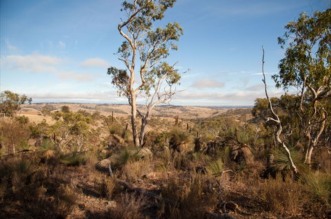 Para Wirra Conservation Park - Tourism Guide 2
