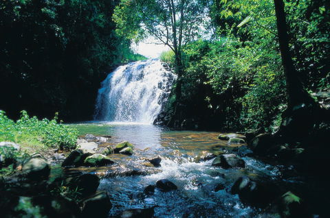 Pepina Falls - Tourism Guide 0
