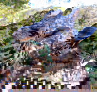 Perth Zoo - Tourism Guide