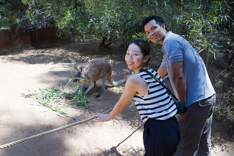 Perth Zoo - Tourism Guide 2