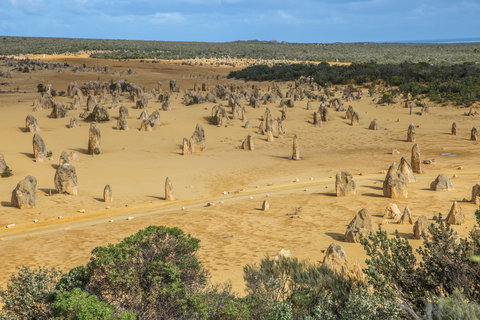 Pinnacles - Travel Agents 1