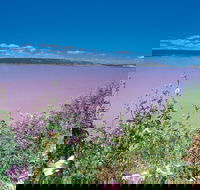 Port Gregory - Tourism Guide