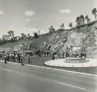 Rockhampton Bull Statues - Tourism Guide