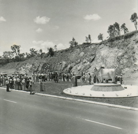 Rockhampton Bull Statues - Tourism Guide 0