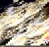 Rushworth - Travel Agents