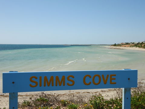Simms Cove Lookout And Beach, Moonta Bay - Tourism Guide 0