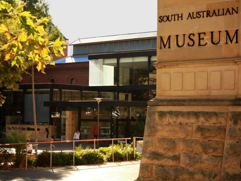 South Australian Museum - Tourism Guide 0