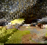 The Pines Picnic Area - Cruises Travel