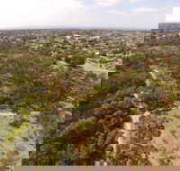The Pines Flora and Fauna Reserve - Tourism Guide