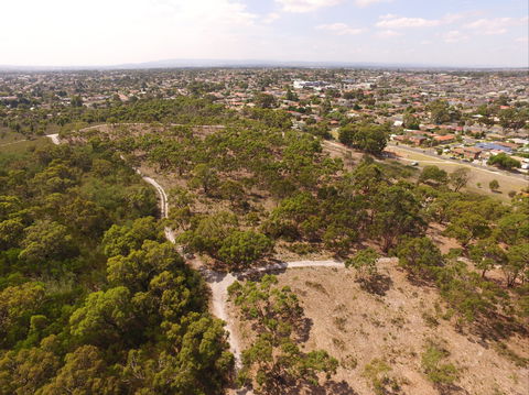 The Pines Flora And Fauna Reserve - Tourism Guide 0