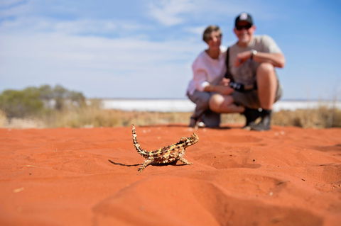 Tnorala (Gosse Bluff) Conservation Reserve - Tourism Guide 2