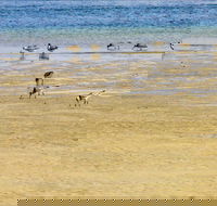 Towra Beach - Tourism Guide