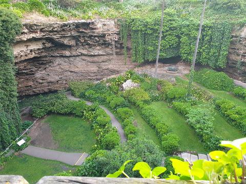 Umpherston Possum Tours - Travel Agents 2