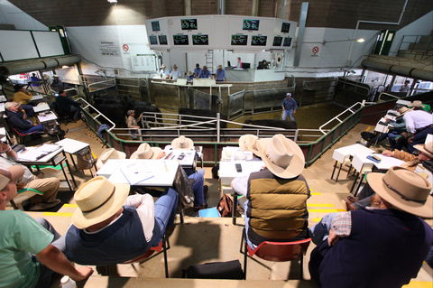 Wagga Wagga Livestock Marketing Centre - Tourism Guide 2