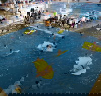 Wodonga Sports and Leisure Centre - Tourism Guide