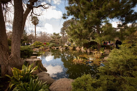Adelaide Himeji Garden - Tourism Guide 1