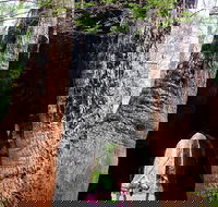 Ancient Empire Walk Valley of the Giants - Cruises Travel