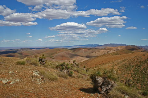 Arden Hills 4WD Track. - Tourism Guide 0