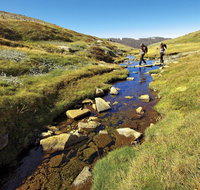 Australian Alps Walking Track - Tourism Guide