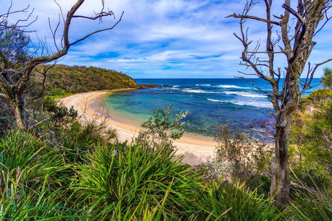 Bendalong (Inyadda) Beach - Tourism Guide 0