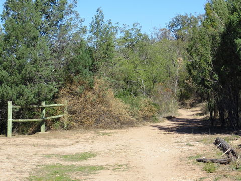 Bindea Walking Track - Tourism Guide 1