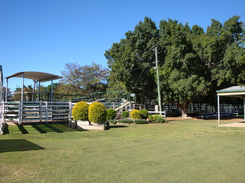 Blackall Saleyards - Travel Search 1