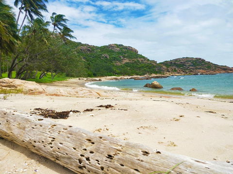 Bowen's Murray's Bay - Cruises Travel 2