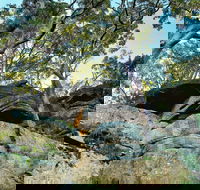 Burrawang Reach Picnic Area - Tourism Guide