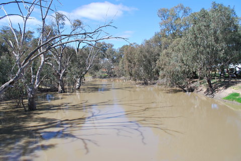 Bush Tucker Trail - Travel Agents 0