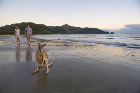 Cape Hillsborough National Park - Cruises Travel 0