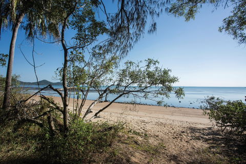 Cape Hillsborough National Park - Cruises Travel 1