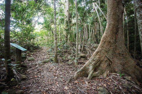 Cape Hillsborough National Park - Cruises Travel 2